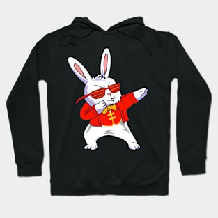 Year Of The Rabbit 2023 Zodiac Chinese New Year 2023 Hoodie